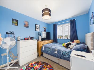 Picture 17